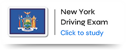 AP Bio Buttons - 2025-07-16T092904.477.png