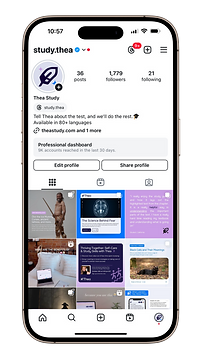 screenshot of study.thea instagram